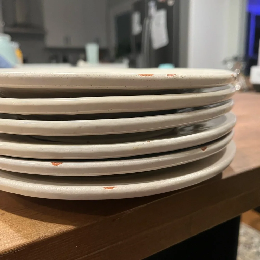 Set of 6 West Elm Terracotta Side Plates